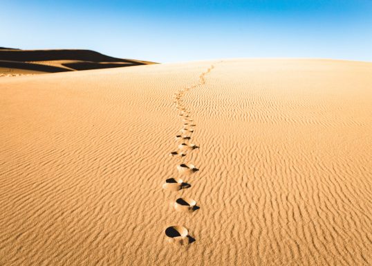 Le Maroc a une marge de manœuvre budgétaire qu’il doit exploiter
